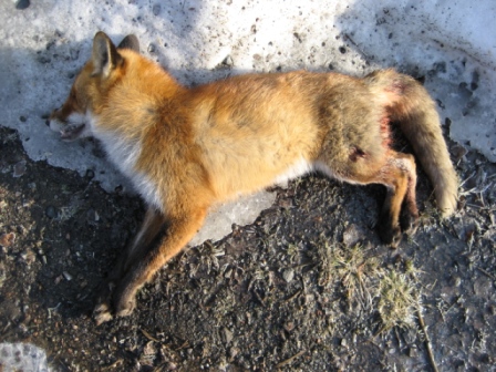 20070630_004.jpg